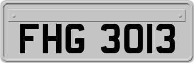 FHG3013