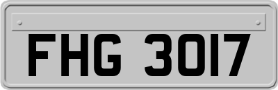 FHG3017