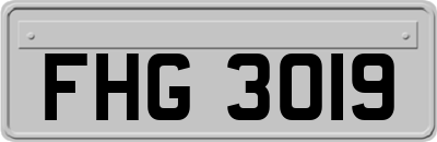 FHG3019