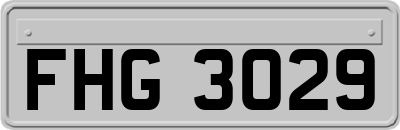 FHG3029