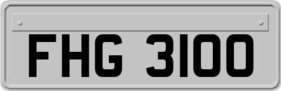 FHG3100