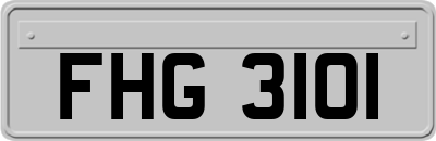 FHG3101