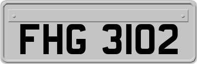FHG3102