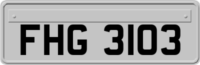 FHG3103