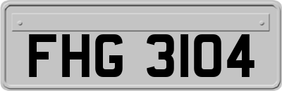 FHG3104