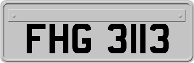 FHG3113