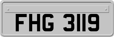FHG3119