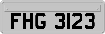 FHG3123