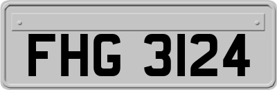 FHG3124