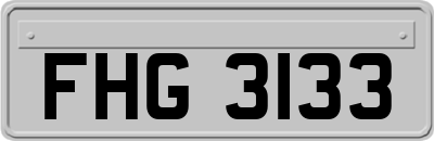 FHG3133