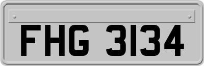 FHG3134