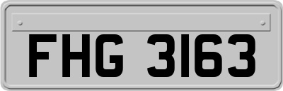 FHG3163