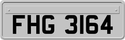 FHG3164