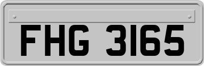 FHG3165