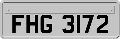 FHG3172