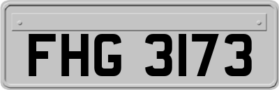 FHG3173
