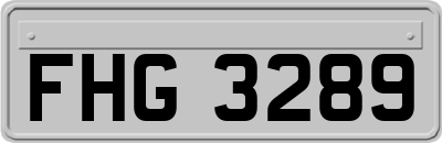 FHG3289