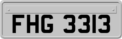 FHG3313