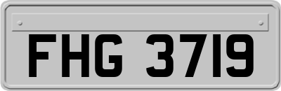 FHG3719