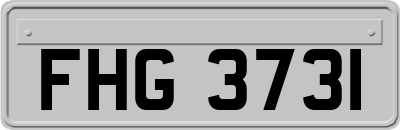 FHG3731
