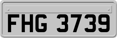 FHG3739