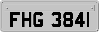 FHG3841
