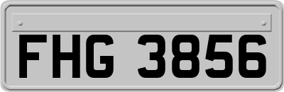 FHG3856
