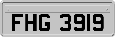 FHG3919