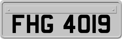 FHG4019