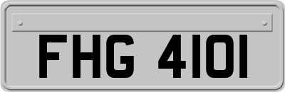 FHG4101