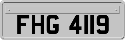 FHG4119