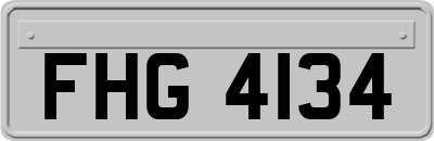 FHG4134