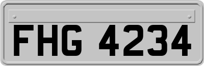 FHG4234