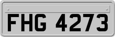 FHG4273