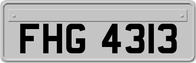 FHG4313