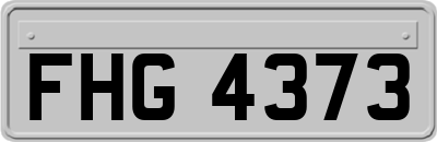 FHG4373