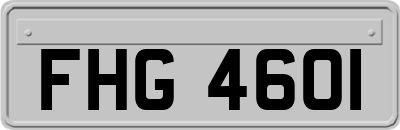 FHG4601