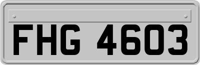 FHG4603
