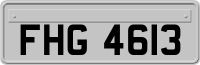 FHG4613