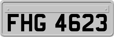 FHG4623
