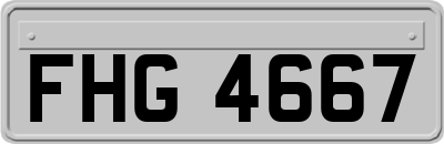 FHG4667