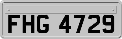 FHG4729