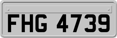 FHG4739