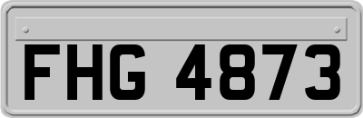 FHG4873