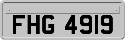FHG4919