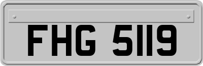 FHG5119