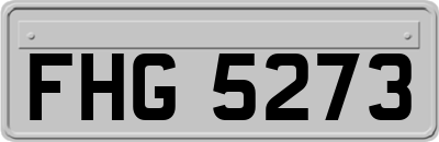 FHG5273