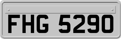 FHG5290