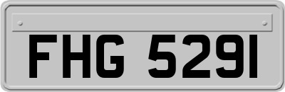 FHG5291