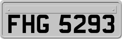 FHG5293